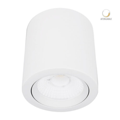 Cilindro de sobreponer LED dirigible - 20W - Acabado blanco - Luz cálida
