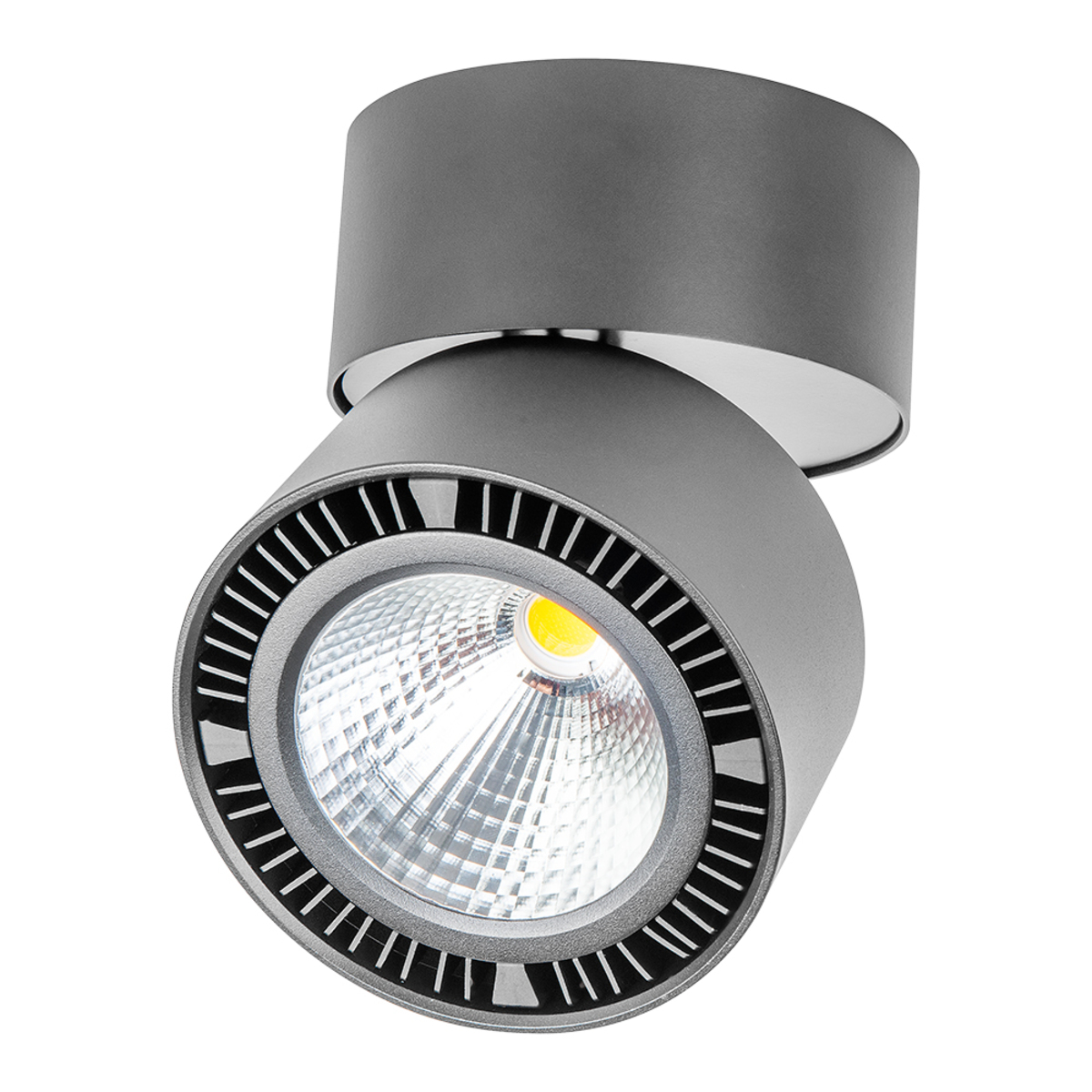 Ojo de buey de sobreponer LED dirigible - 24W - Acabado negro - Luz cálida