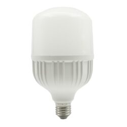 Bombillo LED de alta potencia - 30W - luz fría