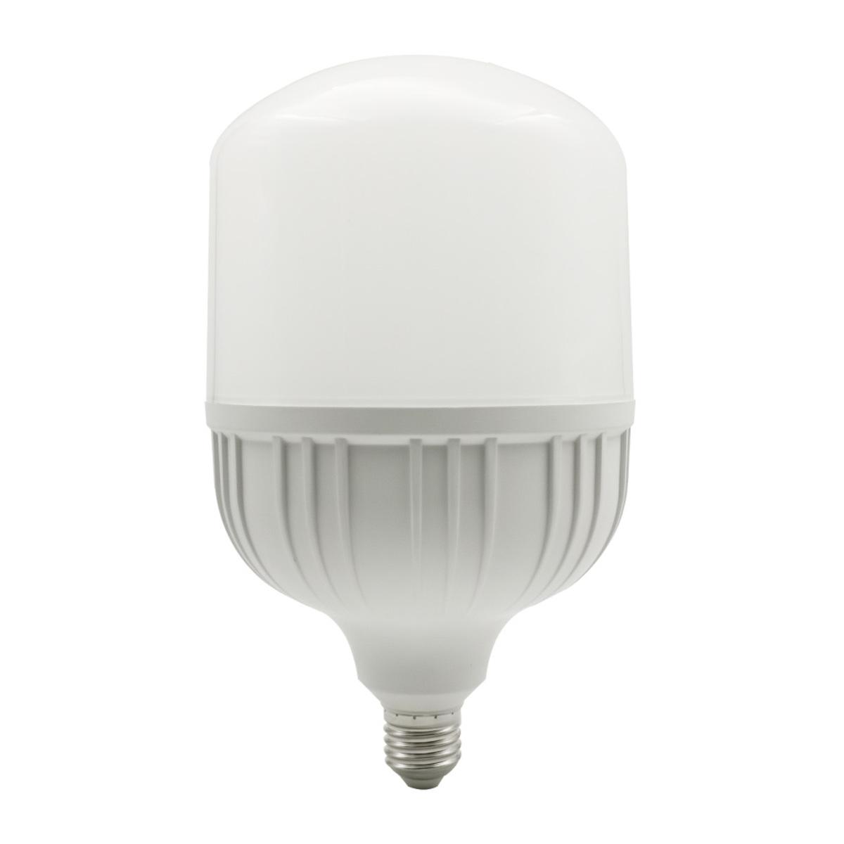 Bombillo LED de alta potencia - 50W - luz fría