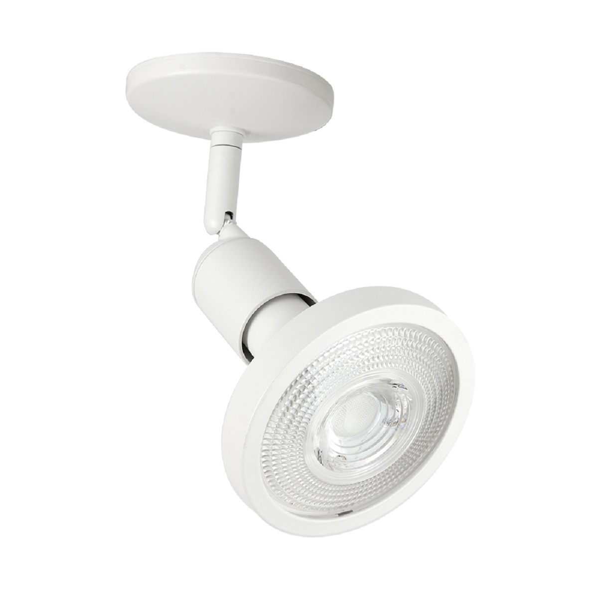 Reflector dirigible de sobreponer - para 1 PAR38 - Acabado blanco