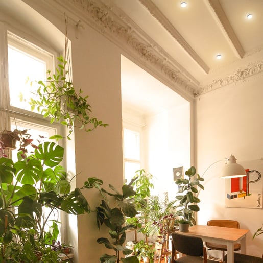 15ptlled1131rv30g-03.jpg 15ptlled1131rv30g 03