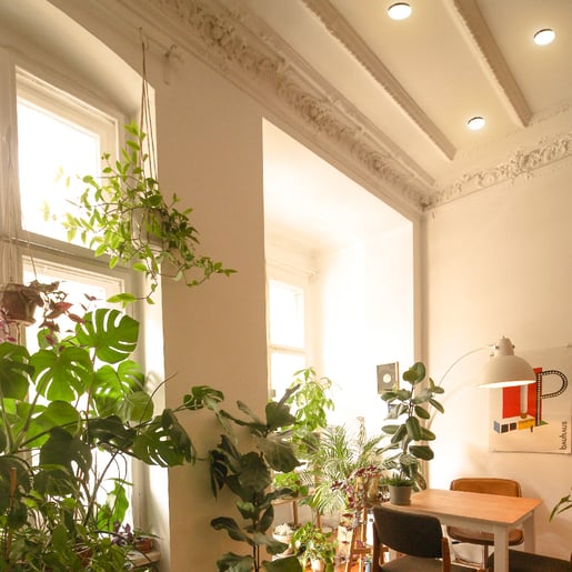 24ptlled1132rv30n-03.jpg 24ptlled1132rv30n 03