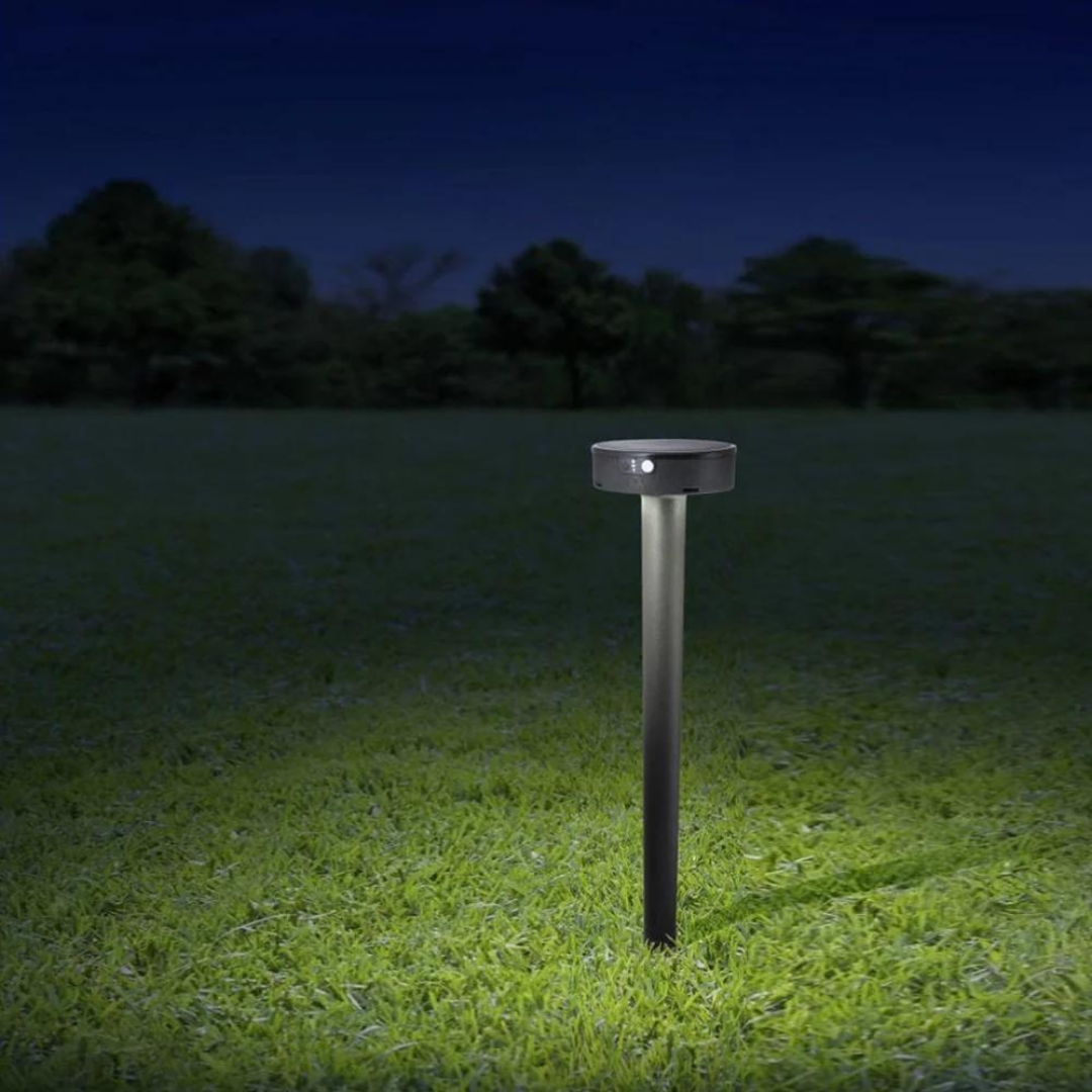 FFI1 FFI1.542.S3L A 1