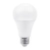 13DA19LED65V