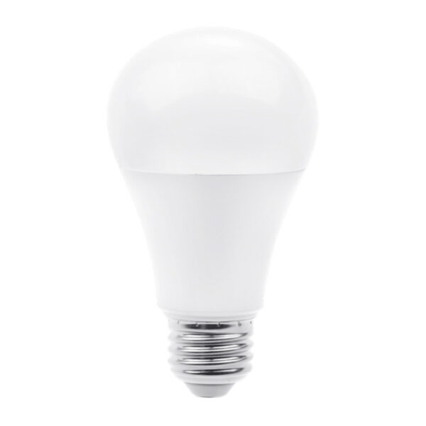 13DA19LED65V