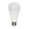 15DA19LED65V