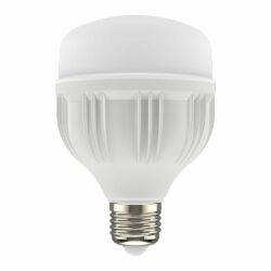 Bombillo LED de alta potencia - 20W - luz fría