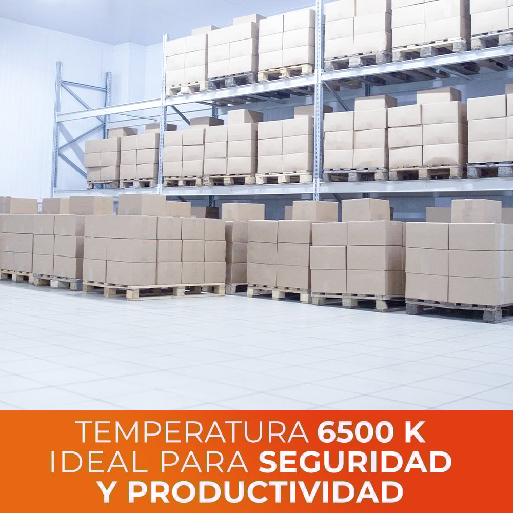 A19-LED_007_65-6P-4 A19 LED 007 65 6P 4